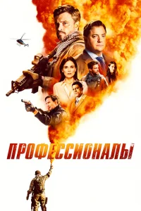Профессионалы   Профессионалы