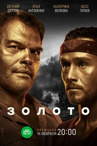 Золото   Золото