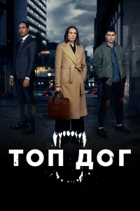 Топ дог   Топ дог
