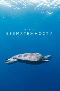 Мир безмятежности   Мир безмятежности
