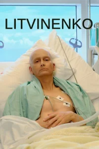 Литвиненко   Литвиненко
