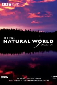BBC: Живой мир   BBC: Живой мир