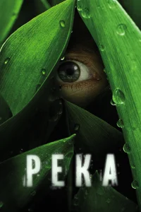Река   Река