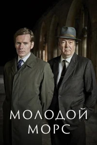 Молодой Морс   Молодой Морс