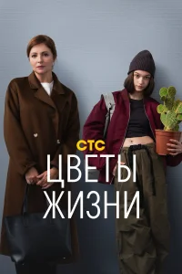 Цветы жизни   Цветы жизни