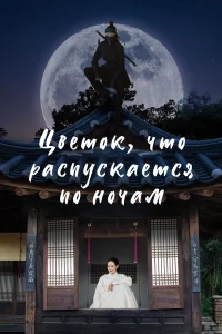 Цветок, что распускается по ночам   Цветок, что распускается по ночам